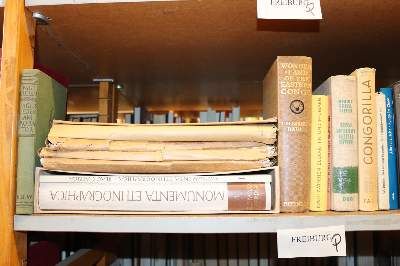 Große Abbildung Nr.25: 141-437 Konvolut: (Varia)