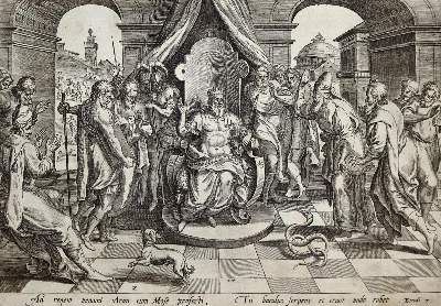 Große Abbildung Nr.3: 141-4374 Sadeler, Johann I: (Künstlergraphik)