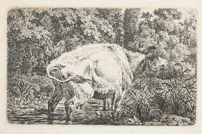 Große Abbildung Nr.4: 141-4519 Tiere und Landschaften.: (Künstlergraphik)