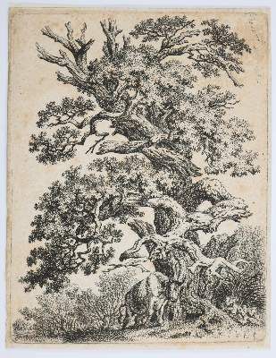 Große Abbildung Nr.5: 141-4519 Tiere und Landschaften.: (Künstlergraphik)