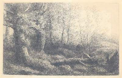 Große Abbildung Nr.9: 141-4519 Tiere und Landschaften.: (Künstlergraphik)