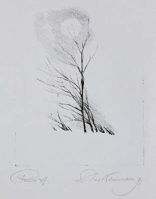 Große Abbildung Nr.9: 141-4597 Weinmann, Dieter: (Künstlergraphik)