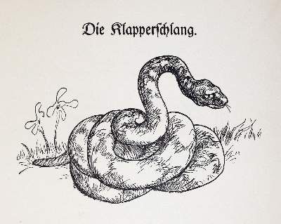 Große Abbildung Nr.2: 141-520 Rückgänge: (Varia)