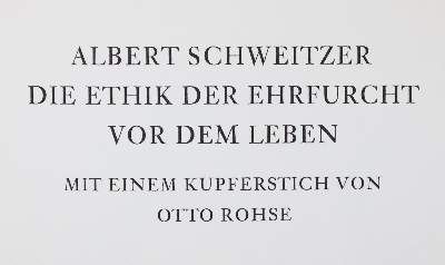 Große Abbildung Nr.41: 141-521 Rückgänge: (Varia)