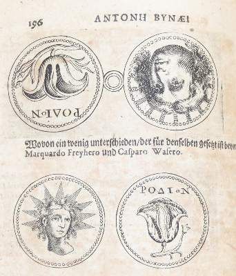 Große Abbildung Nr.3: 141-55 Bynaeus,A.: (Alte Drucke, Handschriften und Theologie)