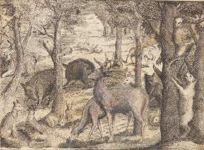 Große Abbildung Nr.2: 141-567 (Du Fouilloux,J.: (Jagd)
