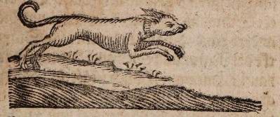 Große Abbildung Nr.2: 141-586 (Becher,J.J.: (Küche und Haushalt, Haushalt)