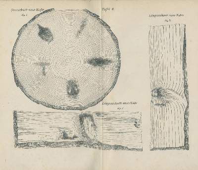 Große Abbildung Nr.3: 141-609 Sieben Werke.: (Land- und Forstwirtschaft, Forstwirtschaft)