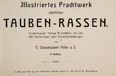 Große Abbildung Nr.1: 141-626 Schachtzabel,E.: (Land- und Forstwirtschaft, Tierhaltung, Tauben)