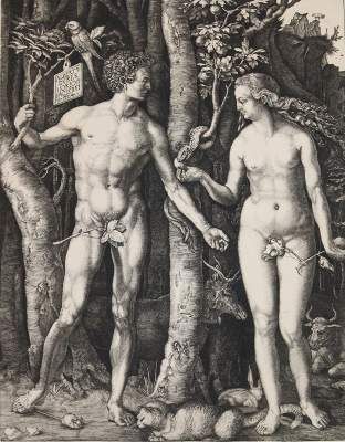 Große Abbildung Nr.1: 141-673 Duplessis,G.: (Dürer)