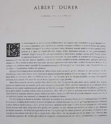 Große Abbildung Nr.6: 141-673 Duplessis,G.: (Dürer)