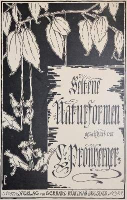 Große Abbildung Nr.3: 141-716 Pronberger,L.: (Ornamente, Jugendstil)