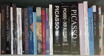 Große Abbildung Nr.14: 141-720 Sammlung: (Picasso)