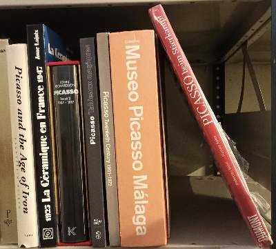 Große Abbildung Nr.17: 141-720 Sammlung: (Picasso)