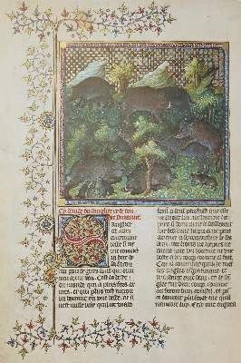 Große Abbildung Nr.1: 141-784 Gaston Phoebus.: (Faksimile)