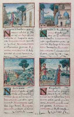 Große Abbildung Nr.4: 141-808 Tacuinum sanitatis.: (Faksimile)