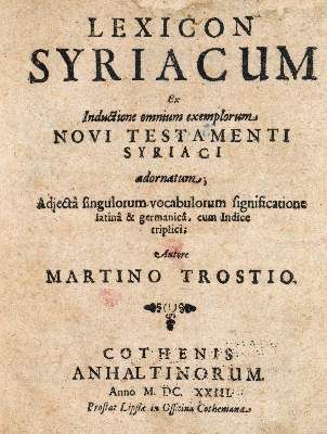 Große Abbildung Nr.1: 141-835 Trost,M.: (Lexika - Wörterbücher - Sprachwissenschaften)