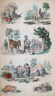 Große Abbildung Nr.3: 141-952 Lauckhard,(C.F.): (Orbis Pictus)