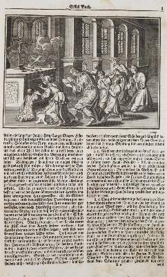 Bild Nr.3: 141-103 Florinus,F.P.: (Alte Drucke, Handschriften und Theologie)