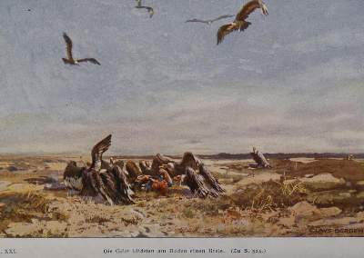 Bild Nr.2: 141-1079 May,K.: (Literatur und illustrierte Bücher bis 19.Jahrhundert)