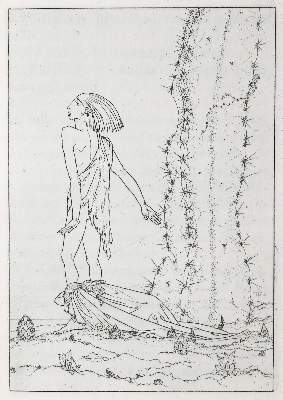 Bild Nr.1: 141-1180 Wilde,O.: (Behmer)
