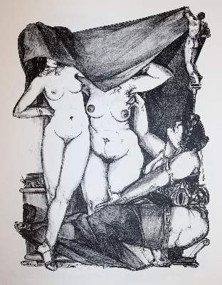 Bild Nr.12: 141-1240 Dier,E.A.: (Literatur und illustrierte Bücher 20.Jahrhundert - Alte Literatur in modernen Ausgaben)