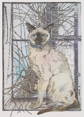 Bild Nr.2: 141-1271 Eggebrecht,A.: (Ensikat)