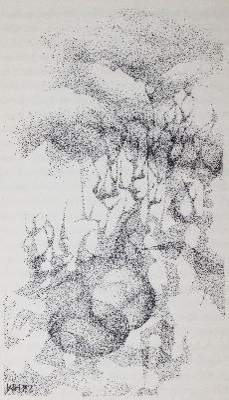 Bild Nr.2: 141-1347 Hildesheimer,W.: (Literatur und illustrierte Bücher 20.Jahrhundert - Alte Literatur in modernen Ausgaben)