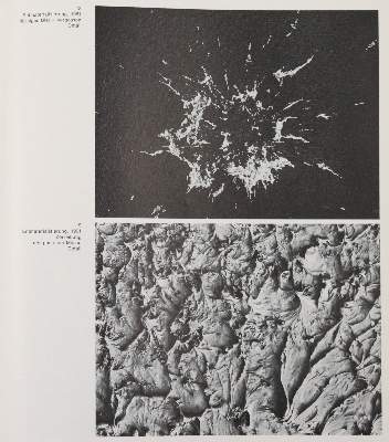 Bild Nr.3: 141-1408 Luther, Adolf: (Literatur und illustrierte Bücher 20.Jahrhundert - Alte Literatur in modernen Ausgaben)
