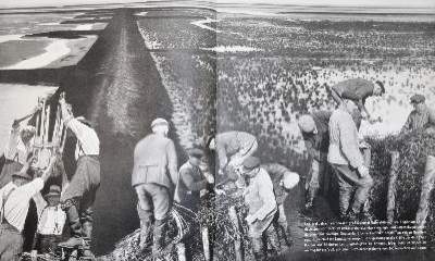 Bild Nr.1: 141-1470 (Carstensen,P.C., H.Hitzer u. F.Richter).: (Photographie)