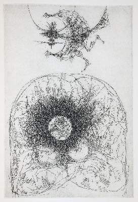 Bild Nr.5: 141-1492 Hauff,W.: (Rabus)