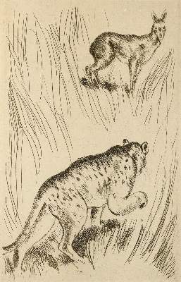 Bild Nr.1: 141-1519 Sammlung: (Literatur und illustrierte Bücher 20.Jahrhundert - Alte Literatur in modernen Ausgaben)