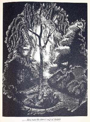 Bild Nr.3: 141-1536 Scougall,S. u. F.Holford.: (Literatur und illustrierte Bücher 20.Jahrhundert - Alte Literatur in modernen Ausgaben)