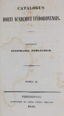 Bild Nr.1: 141-1617 Endlicher,S.: (Botanik)