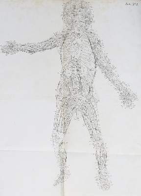 Bild Nr.3: 141-1651 Loder,J.C.: (Medizin, Anatomie)