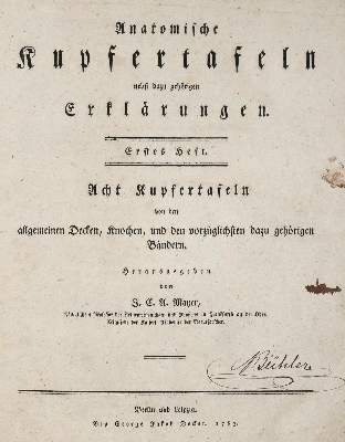 Bild Nr.2: 141-1652 Mayer,J.C.A.: (Medizin, Anatomie)