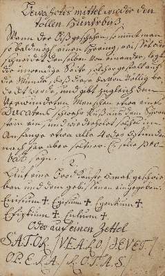 Bild Nr.3: 141-1676 Artzney: (Medizin, Handschriften)