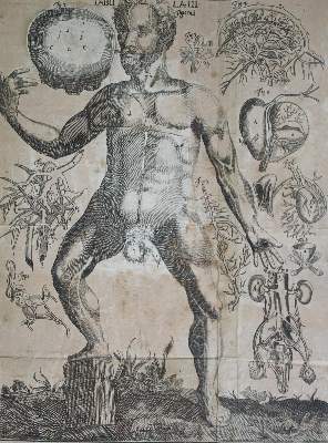 Bild Nr.3: 141-1678 Hellwig,L.C.: (Medizin)