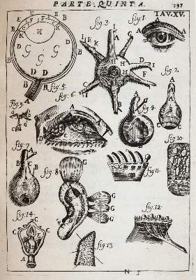 Bild Nr.3: 141-1694 Pascoli,A.: (Medizin)