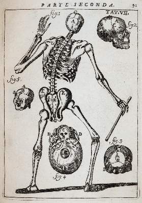 Bild Nr.4: 141-1694 Pascoli,A.: (Medizin)