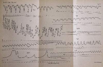 Bild Nr.3: 141-1705 Sammlung: (Medizin)