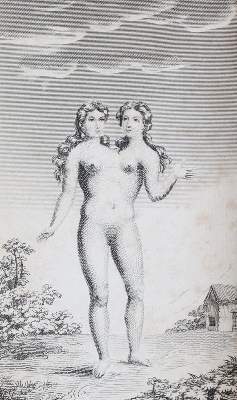 Bild Nr.2: 141-1709 Sharp,S.: (Medizin)