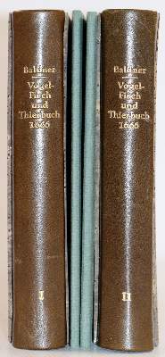 Bild Nr.6: 141-1717 Baldner,L.: (Zoologie)