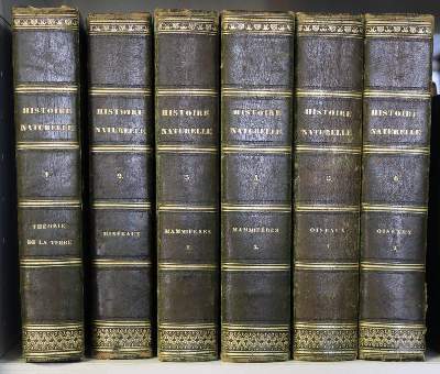 Bild Nr.6: 141-1719 Buffon,G.L.L.: (Zoologie)