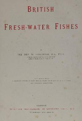 Bild Nr.3: 141-1725 Houghton,W.: (Zoologie, Fische)