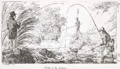 Bild Nr.1: 141-1726 Kresz,A.: (Zoologie, Fische)