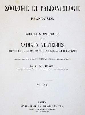 Bild Nr.1: 141-1727 Gervais,(F.L.)P.: (Zoologie)