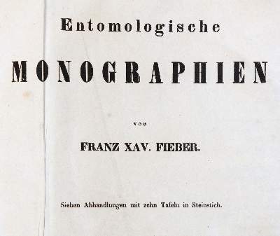 Bild Nr.1: 141-1731 Fieber,F.X.: (Zoologie, Insekten)