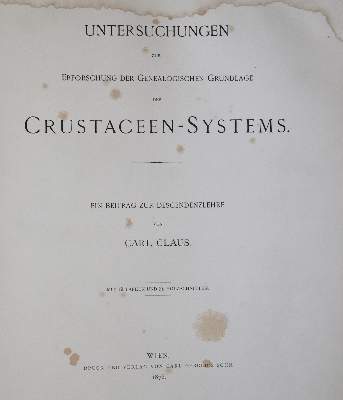 Bild Nr.3: 141-1736 Claus,C.: (Zoologie, Krebse)