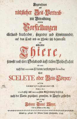 Bild Nr.2: 141-1743 Meyer,J.D.: (Zoologie)